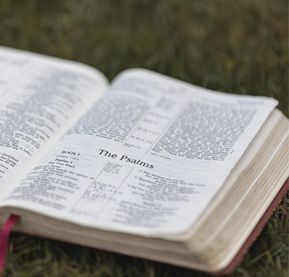psalms